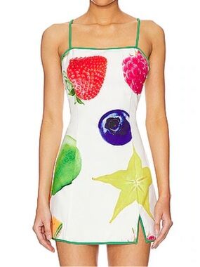 Tyler McGillivary Fruit Basket Dress XS Colorful Novelty Mini Vacation Resort